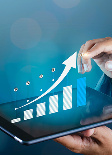 股票及股息资料